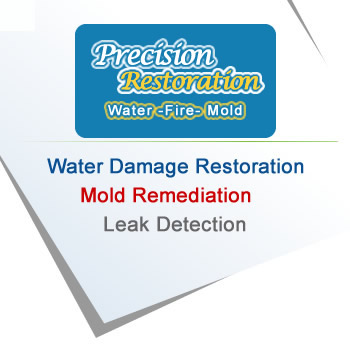 Riverdale Water Restoration Services