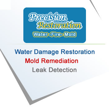 Water & Mold restoration Riverdale